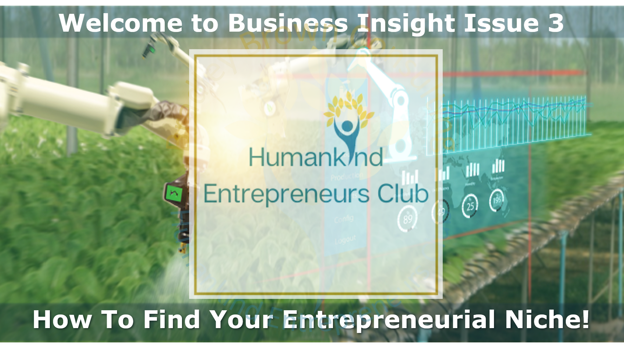 Business Insight 3 - How to Find Your Entrepreneur Niche